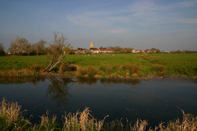 The Village of Mark, Somerset