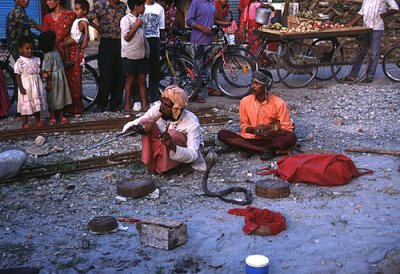 Snake charmer in Pokhara