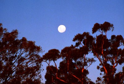 Moonrise over Dandenongs