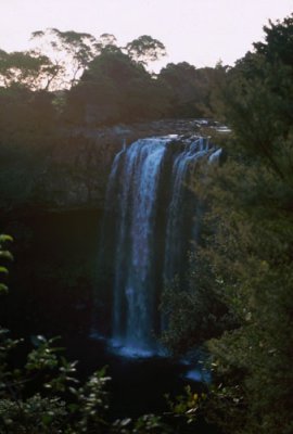 Rainbow Falls near Keri Keri