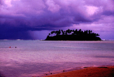 Island of Palm Trees, Muri Beach