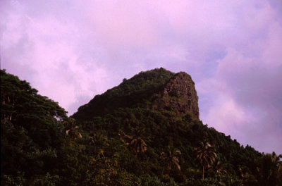 Escarpment and Rainforest