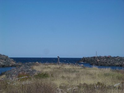 BaldEagleCapeBretonNovaScotia2006 024.JPG