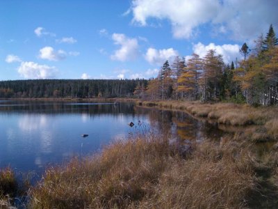 BenjiesLakeCapeBretonNovaScotia2006 003.JPG