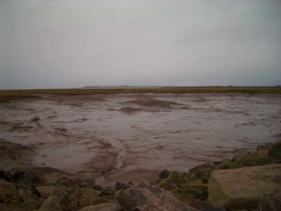 WolfvilleBayOfFundyLowTide 1NovaScotia.jpg