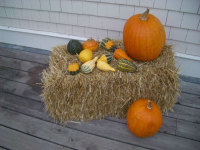 HaloweenDecoration 3.jpg