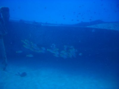 AtlantisSubmarine Shipwreck 055.JPG