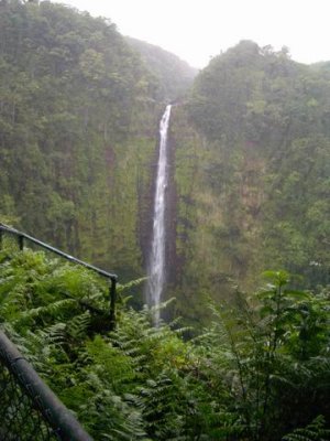 Akaka Falls Hawaii 009.JPG