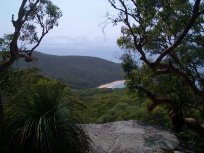 MaitlandBayWalk 2006-12-12 054.JPG