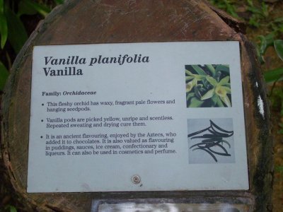 Vanilla FortCanning2007 049.JPG