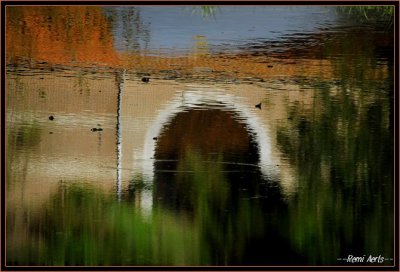 _DSC0002
