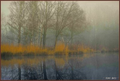 A februarie 035.