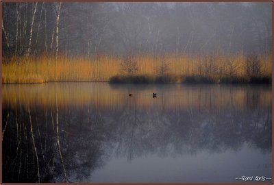 A februarie 063.