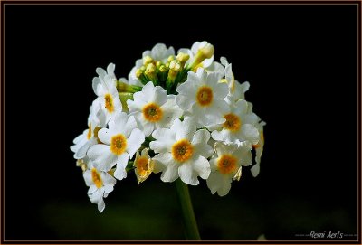 Afbeelding02 327.
