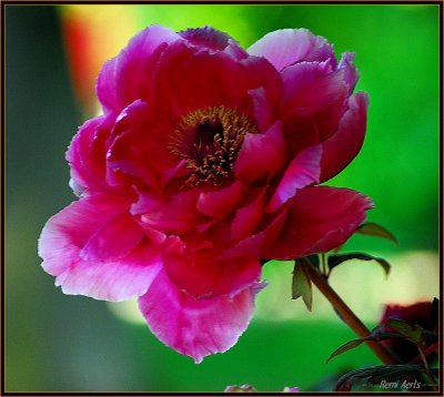 RAG_6869