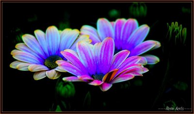 RAG_6875