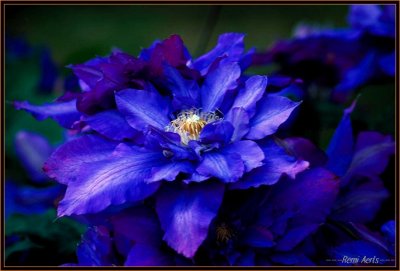 RAG_6884
