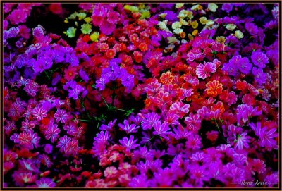 RAG_6898