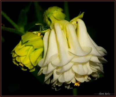 RAG_6922