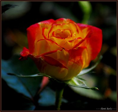 RAG_6923