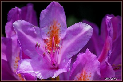 Afbeelding02 159