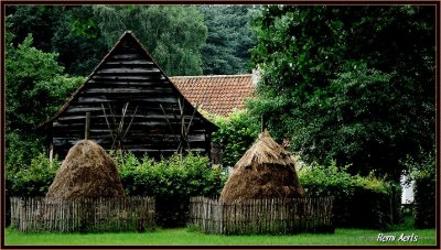 cccRAG_8679.jpg