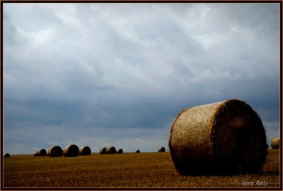 ZONDAG 29_06_07 008.jpg