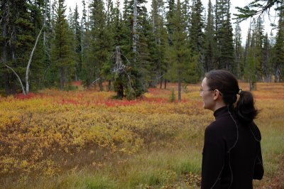 10.14.06::Meadow Em
