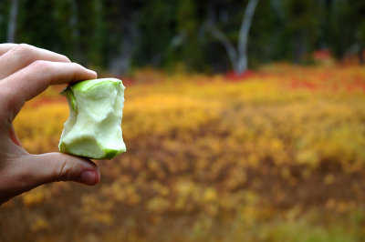 10.14.06::The Apple