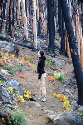 10.14.06::Burned