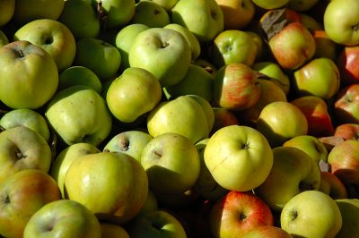 10.21:06::Apples