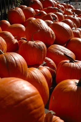 10.21:06::Pumpkins
