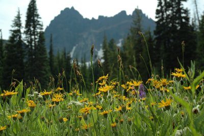 07.15.07::3 Fingered Jack