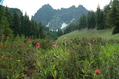 07.15.07::3 Fingered Jack II