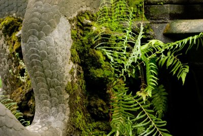 Hanoi Texture - Dragon Scales