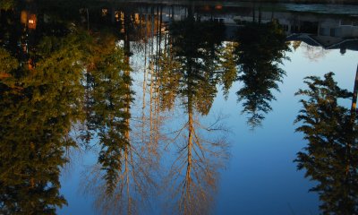 Still waters..............make great reflections.