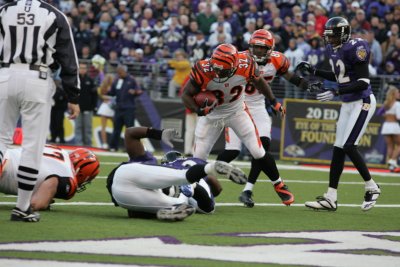 bengals_110506