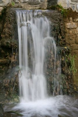 IMG_3780.JPG