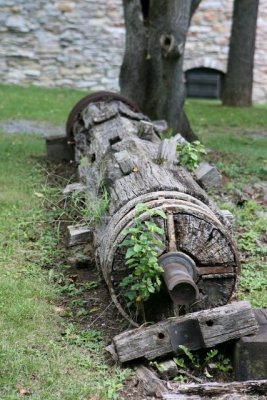 IMG_3787.JPG