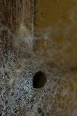 Shelob's Lair 08/02