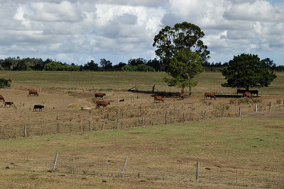 Beyond The Corner Post 11/02