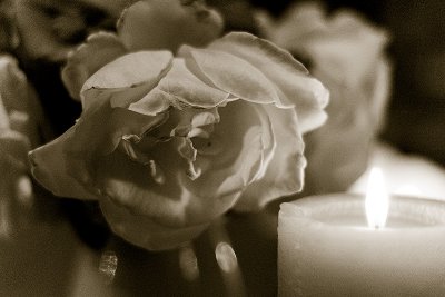 Roses by Candle Light 04/04