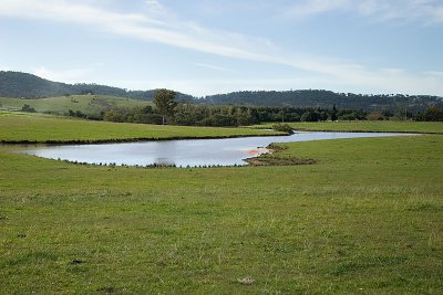 The Lake, Tocal Agricultural College 06/05