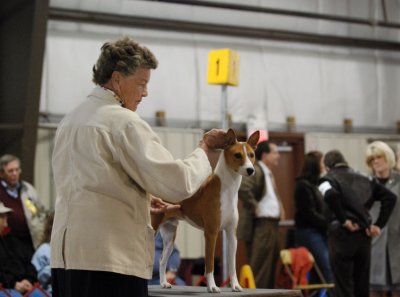 Catonsville Kennel Club Show - October 14, 2006