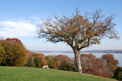 Potomac River