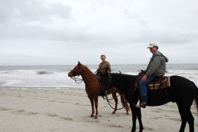 Horses on the Beach