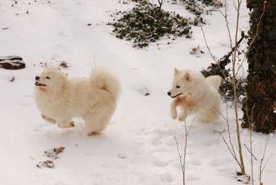 Maggie and Joey in Snow