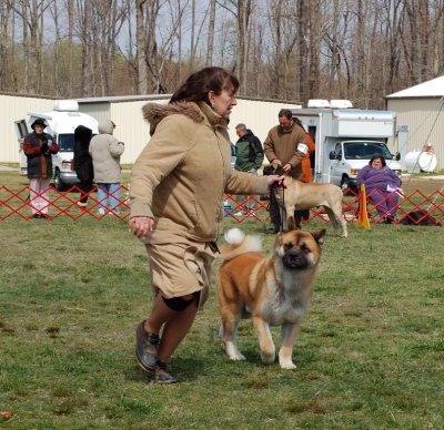 Riggs Looking for Mom
