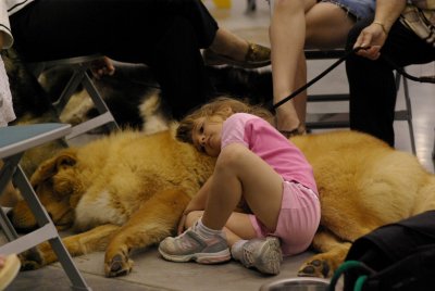 Tuckered Out by Group Judging Time