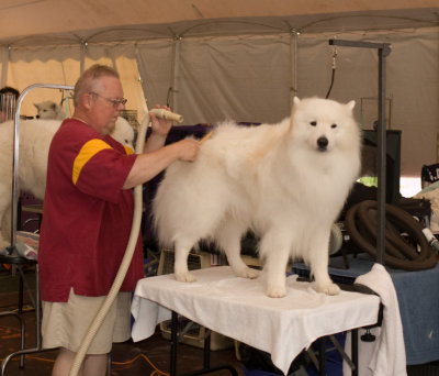 From the Grooming Tents